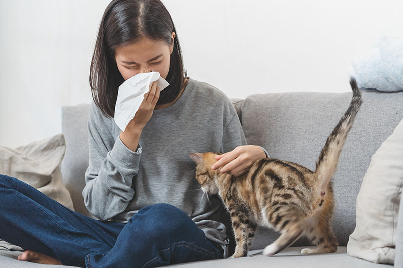 Woman at home with perennial allergic rhinitis symptoms